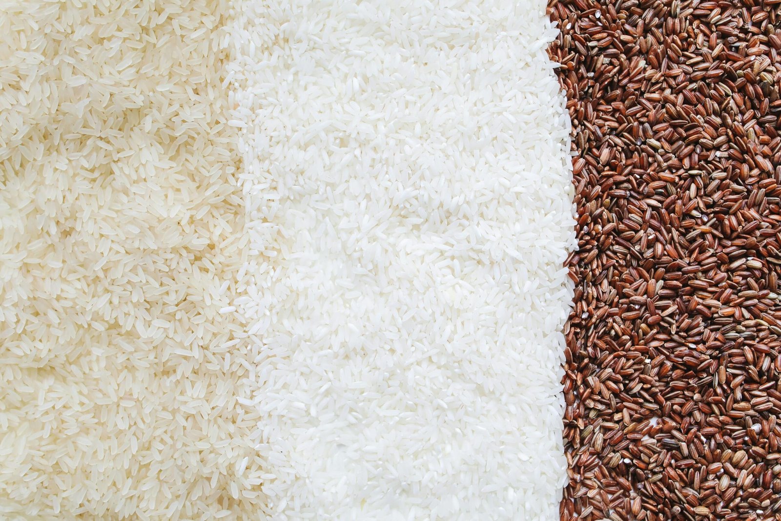 Three types of uncooked rice in a close-up still life arrangement.